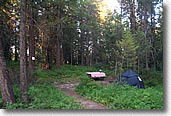 Tent campsite among the trees